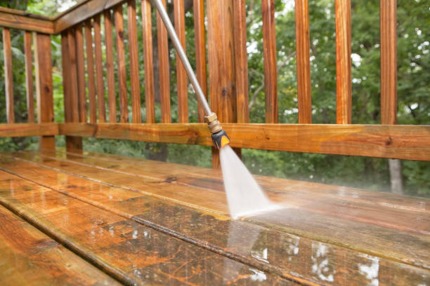 Animal Enclosure Cleaning in Rossmoor, NJ